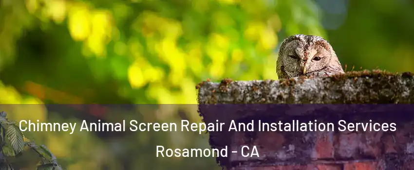  Chimney Animal Screen Repair And Installation Services Rosamond - CA