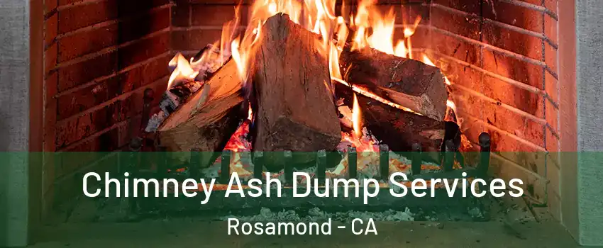  Chimney Ash Dump Services Rosamond - CA