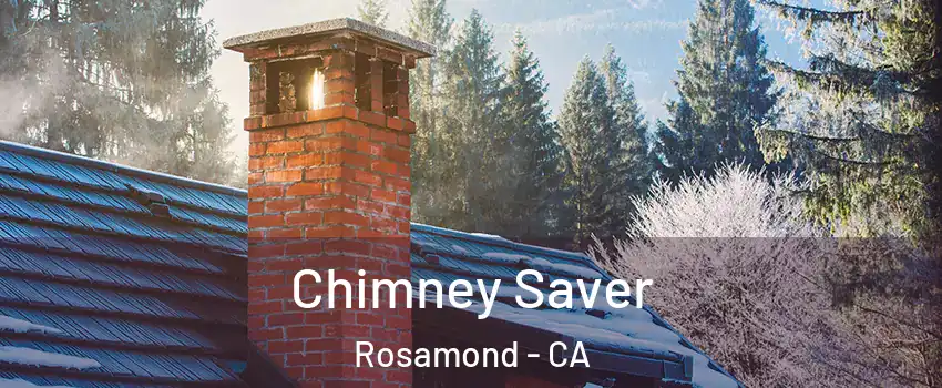  Chimney Saver Rosamond - CA