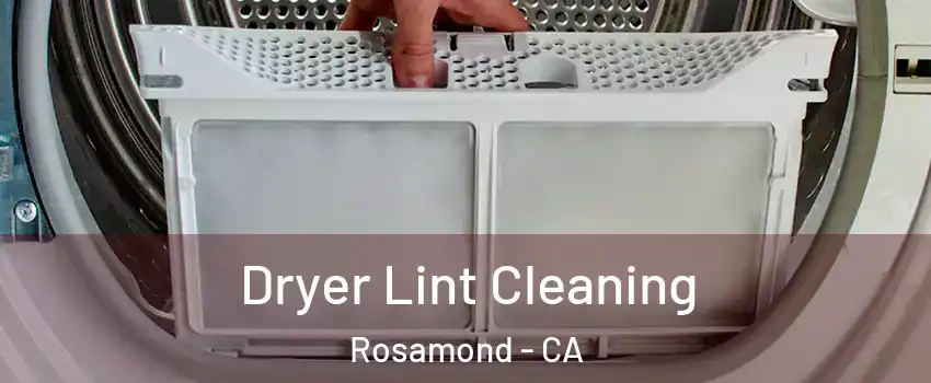  Dryer Lint Cleaning Rosamond - CA