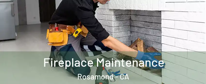  Fireplace Maintenance Rosamond - CA