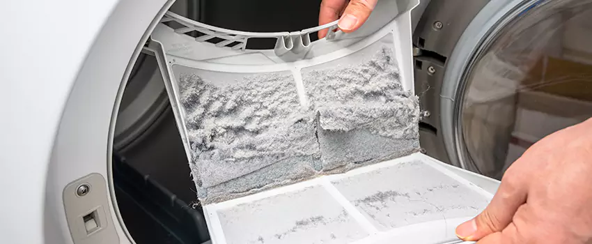 Best Dryer Lint Removal Company in Rosamond, California