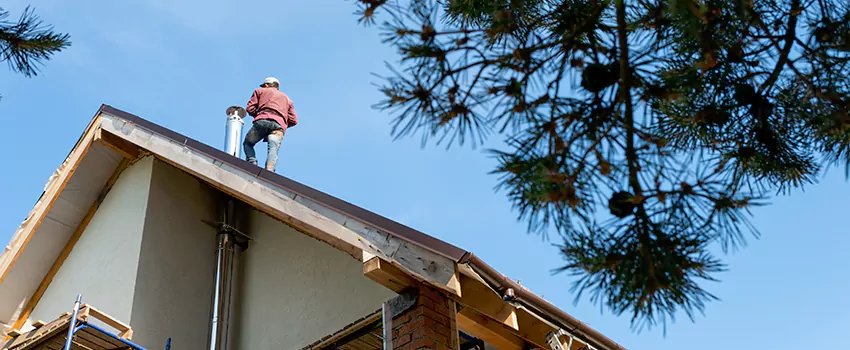 Birds Removal Contractors from Chimney in Rosamond, CA