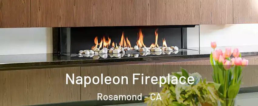  Napoleon Fireplace Rosamond - CA